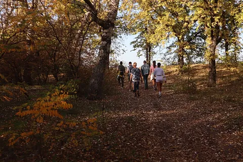 Personer går i skogen